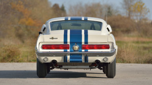 image 7 in super snake gallery
