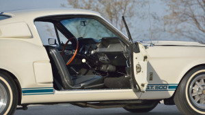 image 8 in super snake gallery
