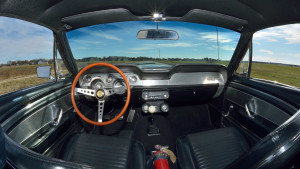 image 9 in super snake gallery