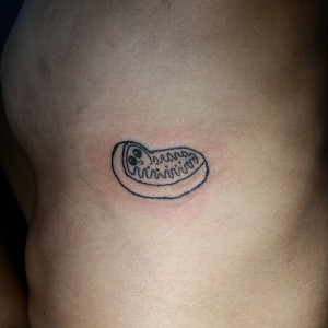 image 6 in tattoo helen gallery