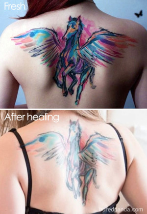 image 7 in Tattoo gallery