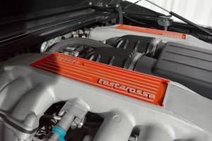 image 4 in Testarossa Jackson gallery