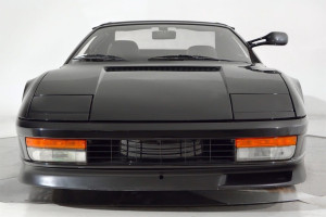 image 8 in Testarossa Jackson gallery
