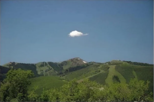 image 10 in tien 175 gallery