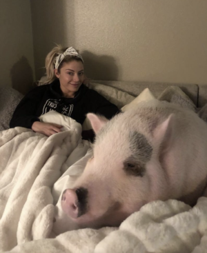 image 2 in tien 431b gallery