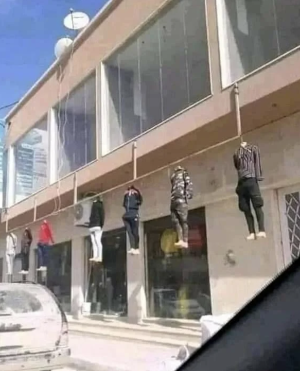 image 7 in tien 438 gallery