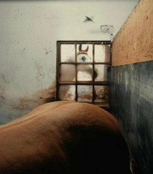 image 7 in tien 538 gallery