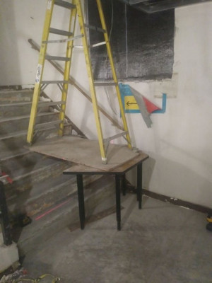 image 3 in tien 75 gallery