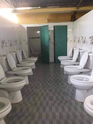 image 10 in tien toiletten gallery