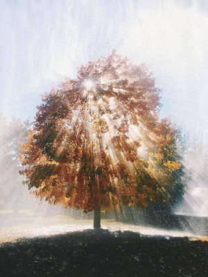 image 19 in timing gallery