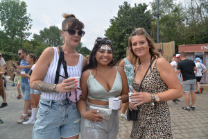 image 19 in TML 2019 gallery