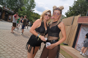 image 23 in TML 2019 gallery