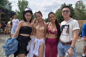 image 32 in TML 2019 gallery