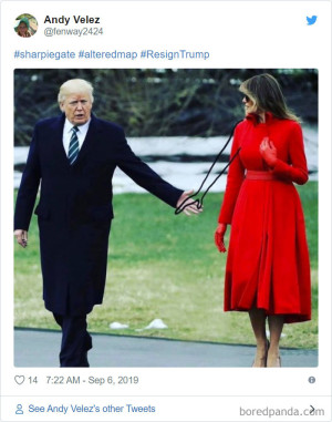 image 10 in trumpmemes gallery