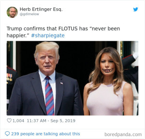 image 12 in trumpmemes gallery