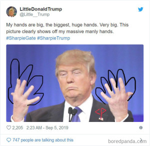 image 13 in trumpmemes gallery