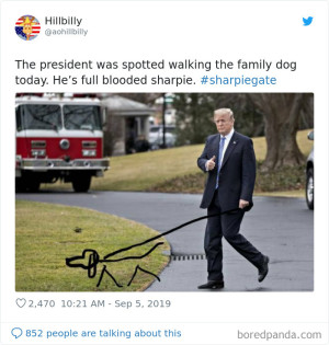 image 14 in trumpmemes gallery