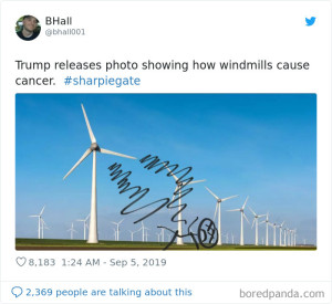 image 8 in trumpmemes gallery