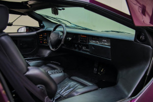 image 10 in vector V8 gallery