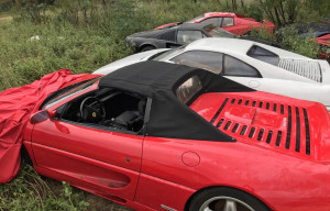 image 13 in veldferrari gallery