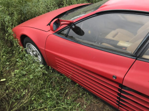 image 14 in veldferrari gallery