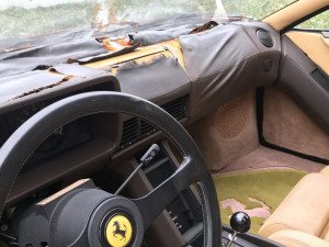 image 19 in veldferrari gallery