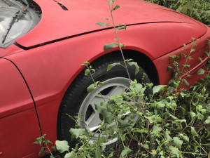 image 3 in veldferrari gallery