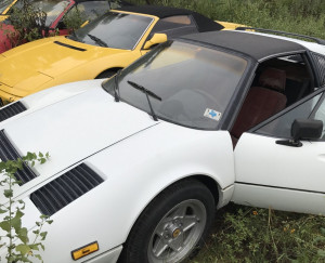 image 4 in veldferrari gallery