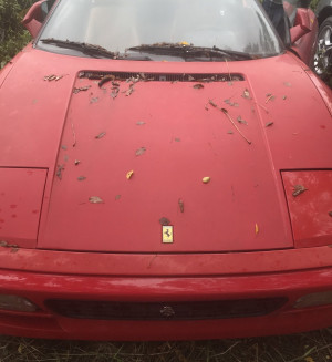 image 8 in veldferrari gallery