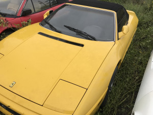 image 9 in veldferrari gallery