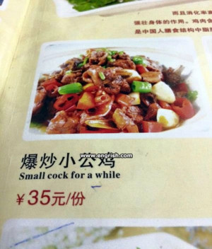 image 10 in vertaalblunders 19 gallery