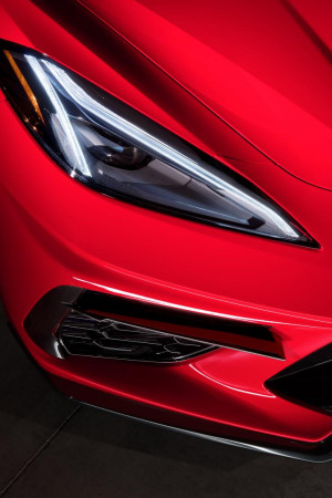 image 10 in vette vet gallery