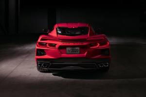 image 4 in vette vet gallery