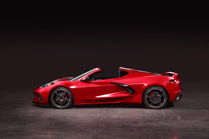 image 5 in vette vet gallery