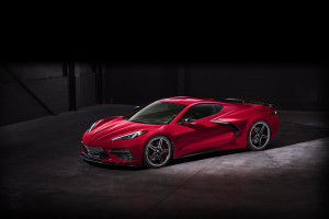 image 8 in vette vet gallery