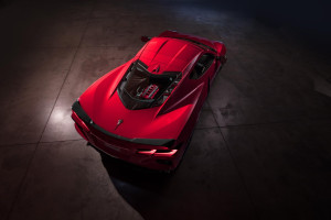 image 9 in vette vet gallery