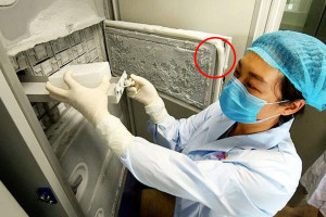 image 1 in wuhanlab gallery
