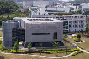 image 5 in wuhanlab gallery