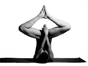 image IMG_0344 in Yoga gallery