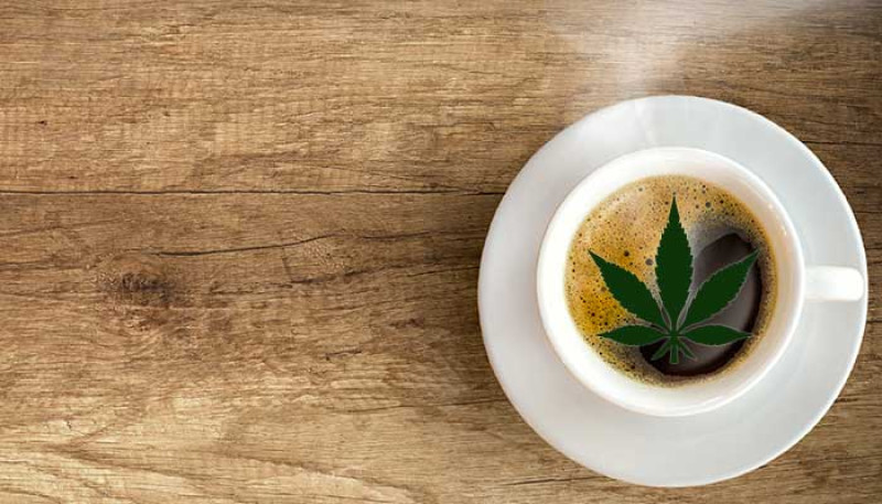 Studie legt verband tussen koffie en cannabis bloot