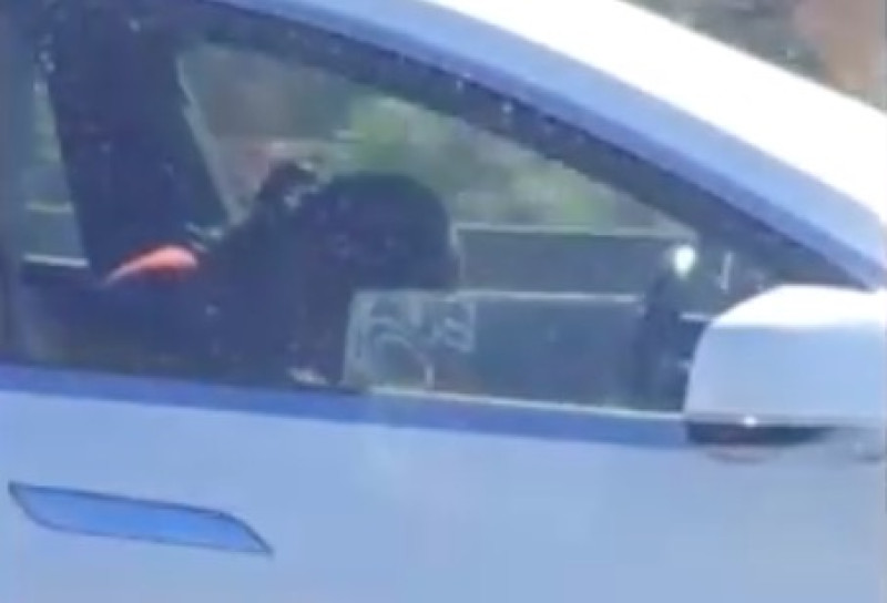 Deze Tesla-medewerker heeft ballen van staal (video)