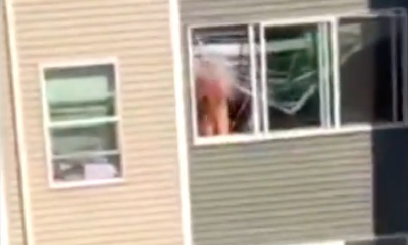 Raamfapper krijgt zijn verdiende loon (video)