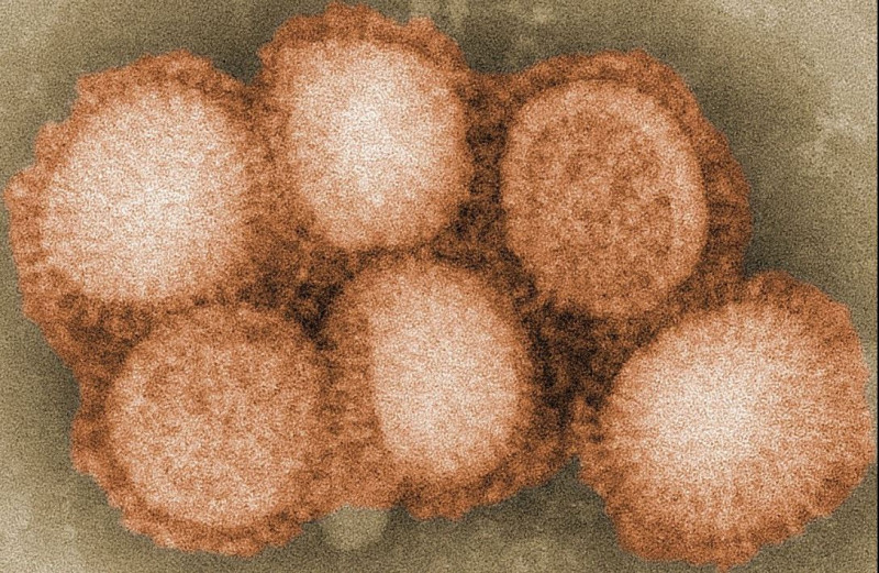 Zal Disease X weldra miljoenen jonge, gezonde slachtoffers eisen?