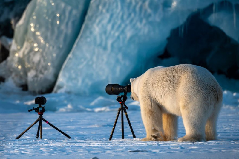 De grappigste foto's uit het dierenrijk