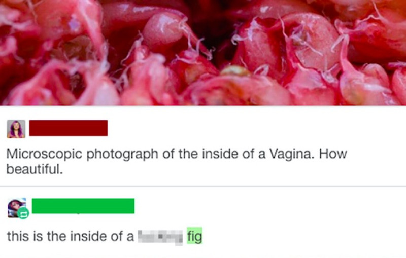 Deze mensen hadden niet hun scherpste moment (foto’s)