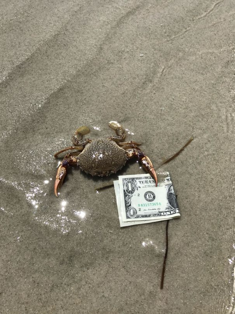 Hilarische strandfoto's genomen op vakantie (foto's)