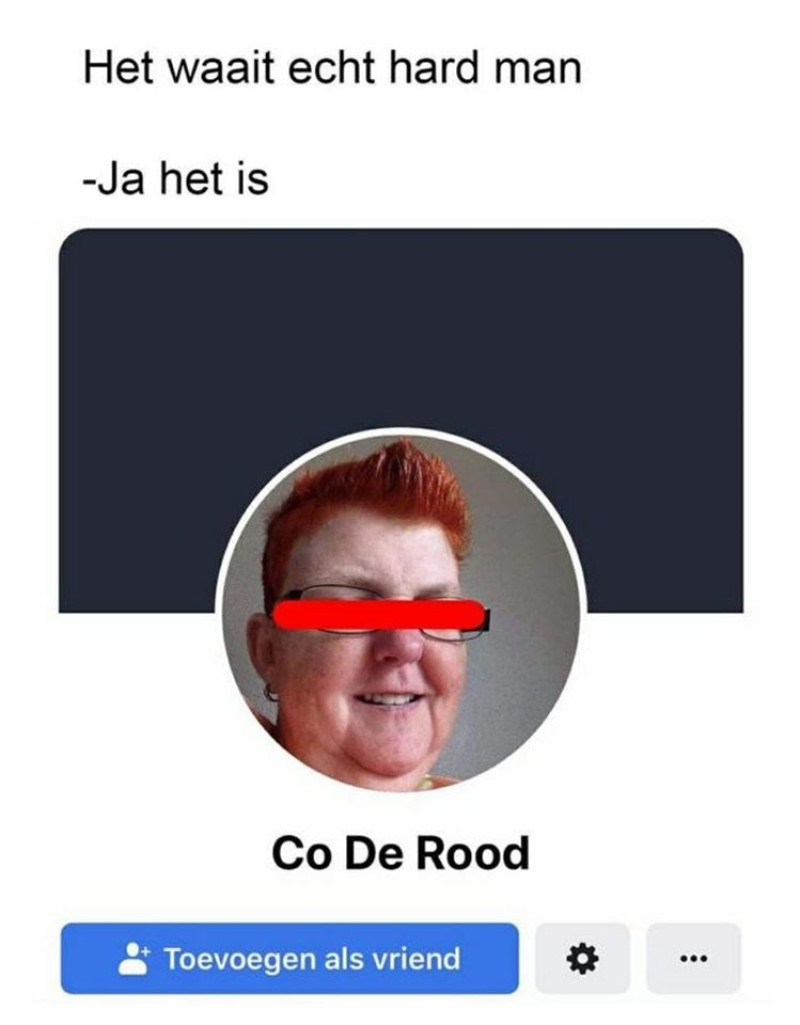 Met deze Facebook-profielen lach je je kapot