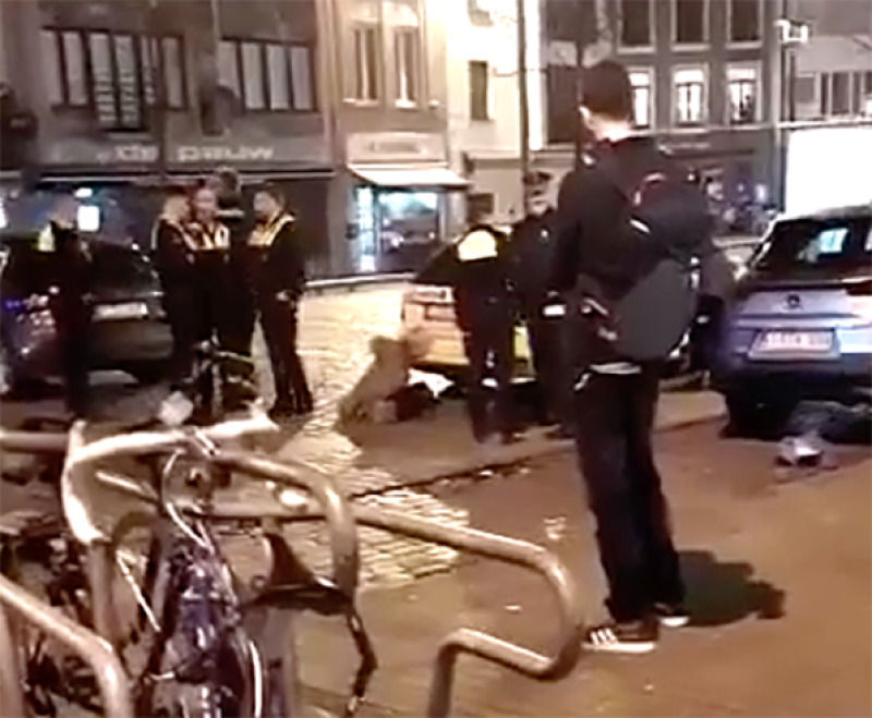 ‘Onschuldige’ vrouw wordt keihard tegen de grond gewerkt door Antwerpse agenten (video)