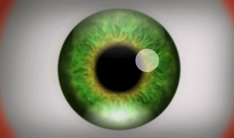 Dankzij deze video kan je hallucineren zonder drugs te gebruiken (video)