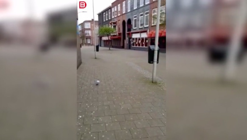 Hitsige Hollander wil in corona-tijd naar meisjes van plezier (video)